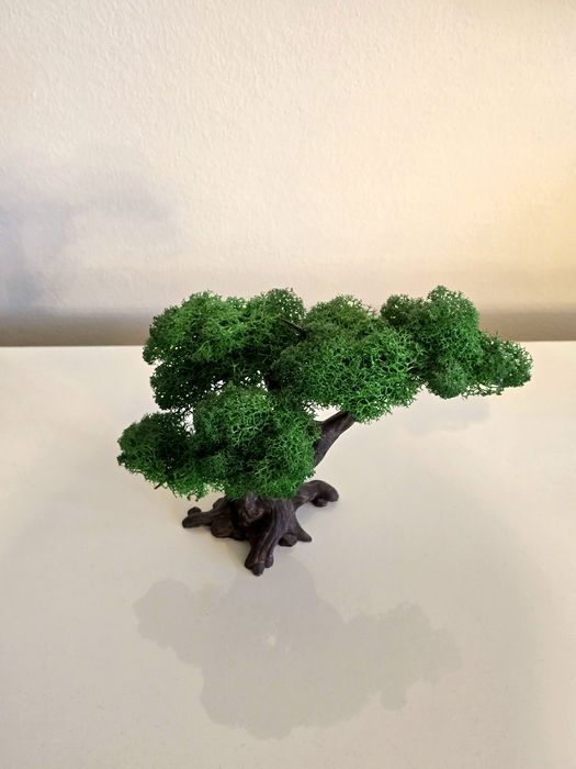 Bonsai printat 3D cu licheni