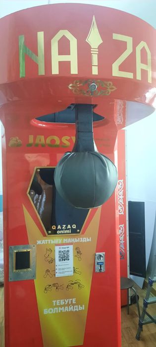 Naiza силомер