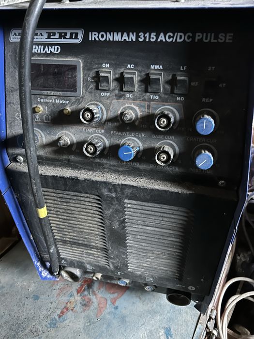 Продам Сврку Аброра