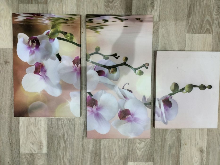 Продам  модульные картины