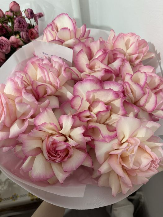 Свежи гүлл арзан баға