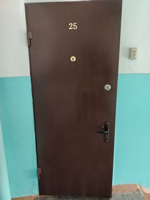 Дверь металлическая