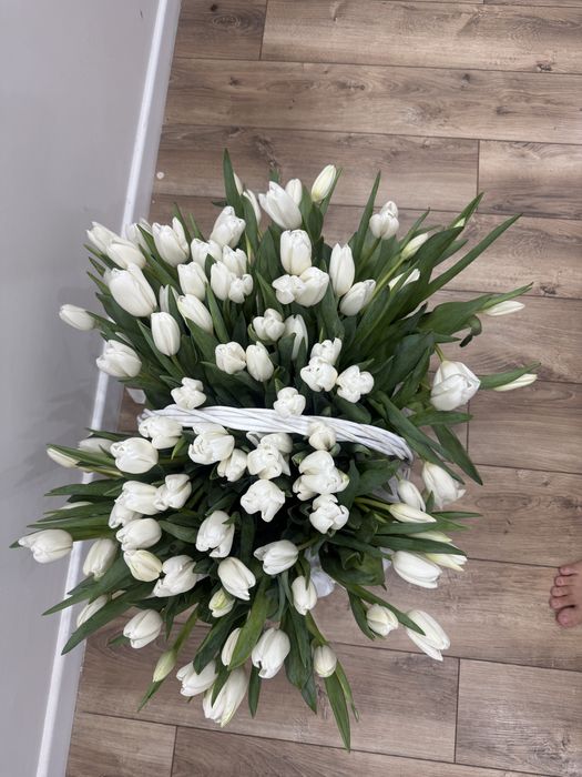 Цветы Тюльпаны свежие