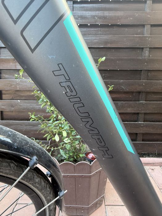 Bicicletă electrică Triumph – Bosch Active Line – 25 km/h