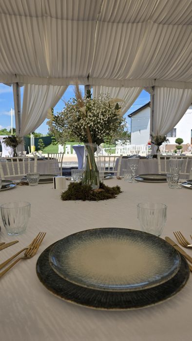 Vila petreceri fara vecini, cu piscina, nunta, cununie, botez, evenimente private