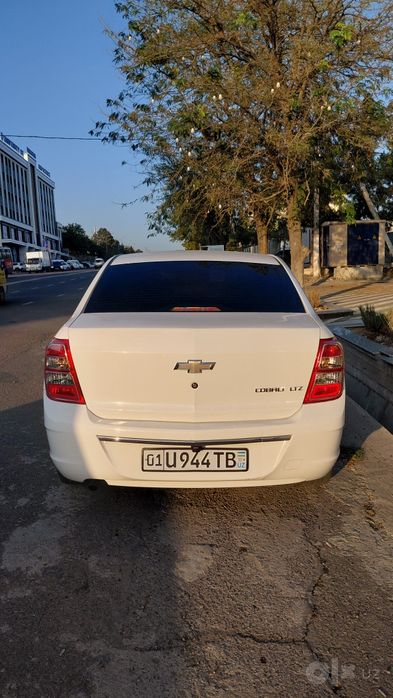 Kobalt Srochniy sotaman