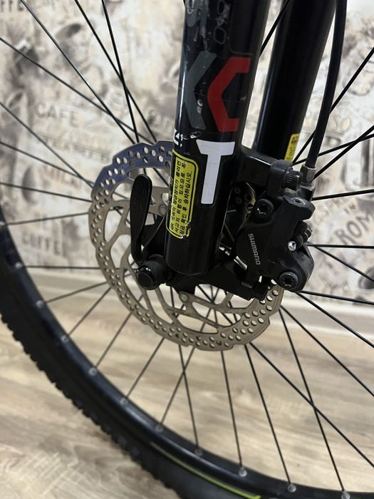 Korea dan olip kelingan velik sotiladi