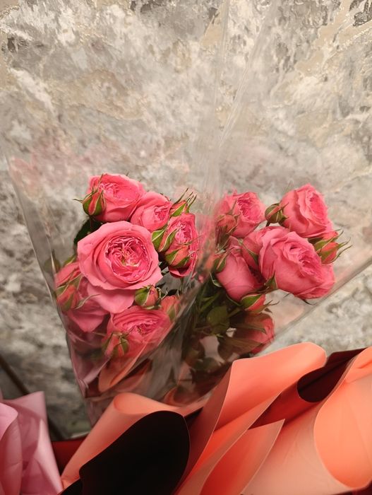 Цветы буу 1 күн болмады әлі