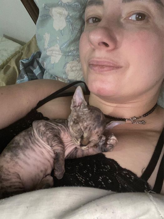 Котята свинкс  50000тг