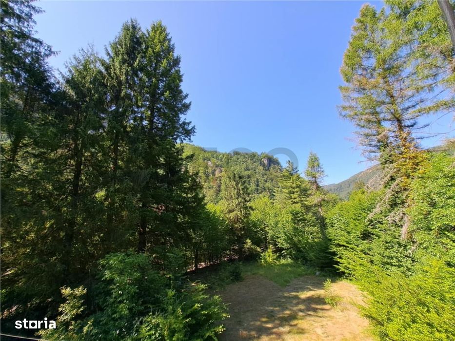 RECO Teren intravilan  Boga