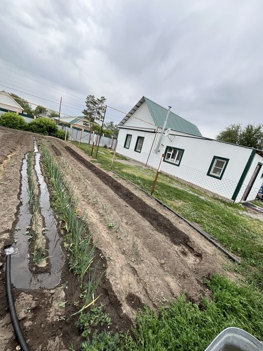 Дом в тамды продам !