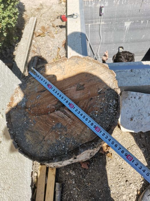 Продавам орехов дървен материал