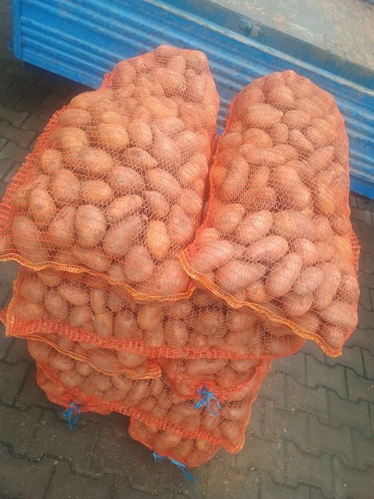 Grau  1,3 lei kg  ,       porumb 1,2 lei kg  cartofi de consum 1,8 lei