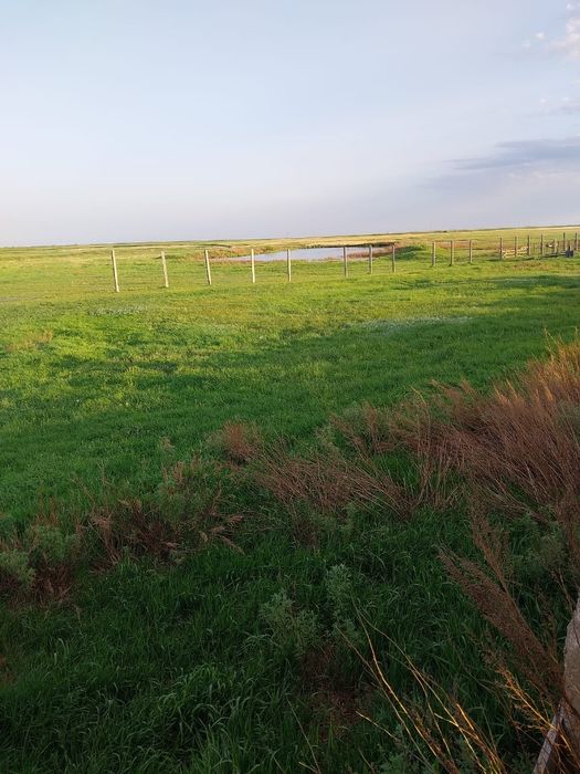 Животноводческое хозяйство