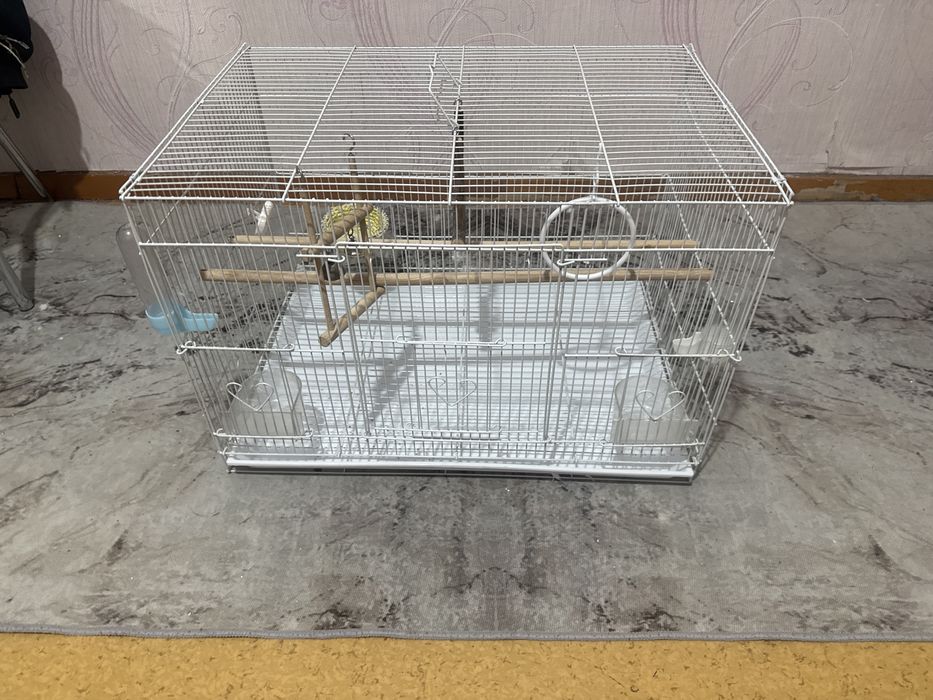 Клетка для попугая