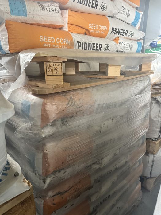 Samanta porumb p9757