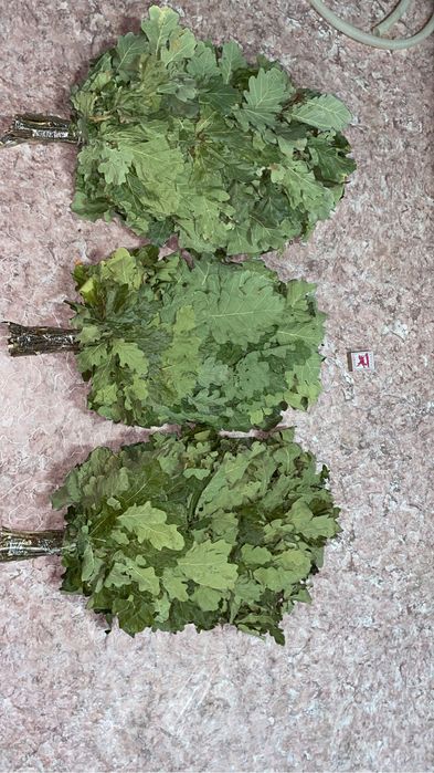 Дубовый веник для парения