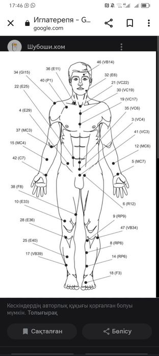 Акупунктурные точки на человека схема расположения Акупунктурные точки на человека схема расположения