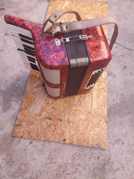 Acordeon Timiș colecție vintage