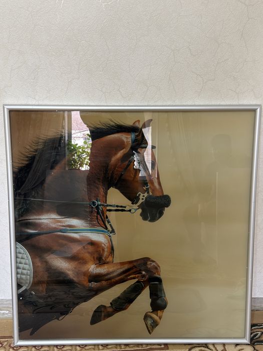 Картинки для дома не дорого