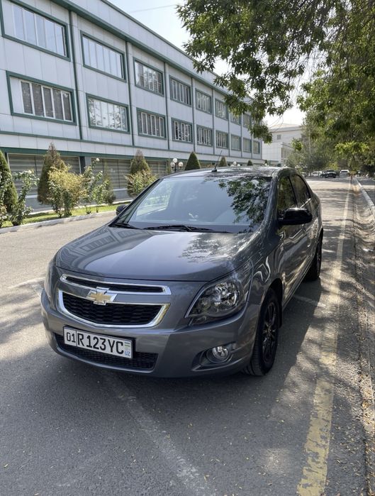 Cobalt Midnight 2025