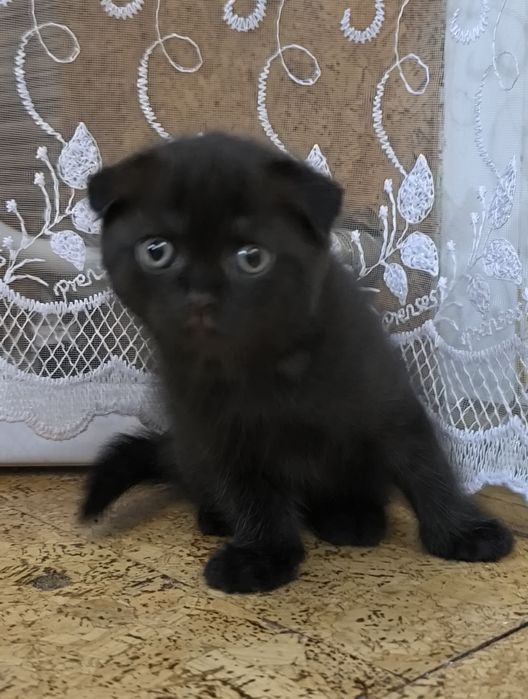 Милая и ласковая девочка