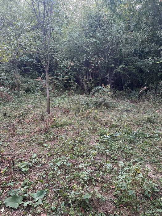 Teren de vânzare - Breaza