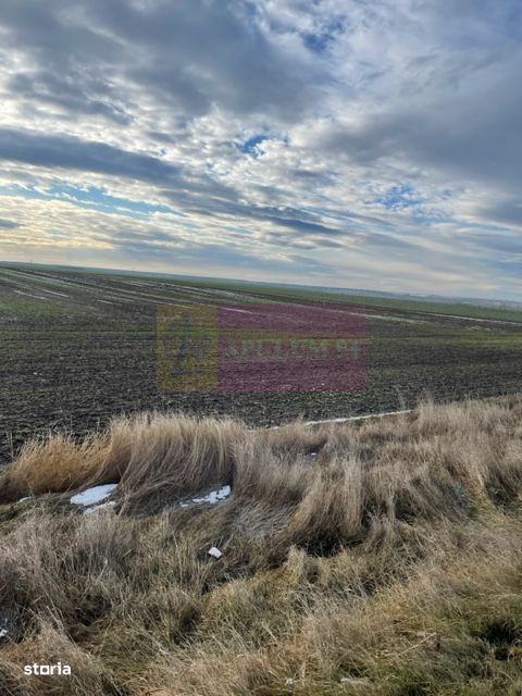 Teren Mihailesti E70- DN6 langa Dovinot.
