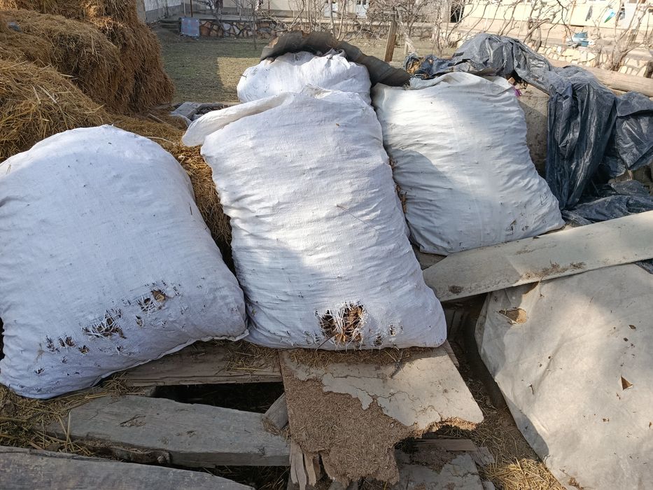 Пахтали  сифатли  чангалок