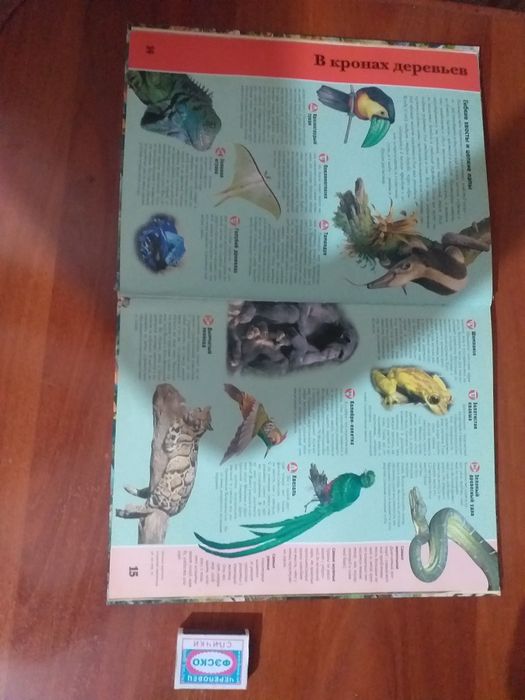 энциклопедия животного мира для детей.  большая книга