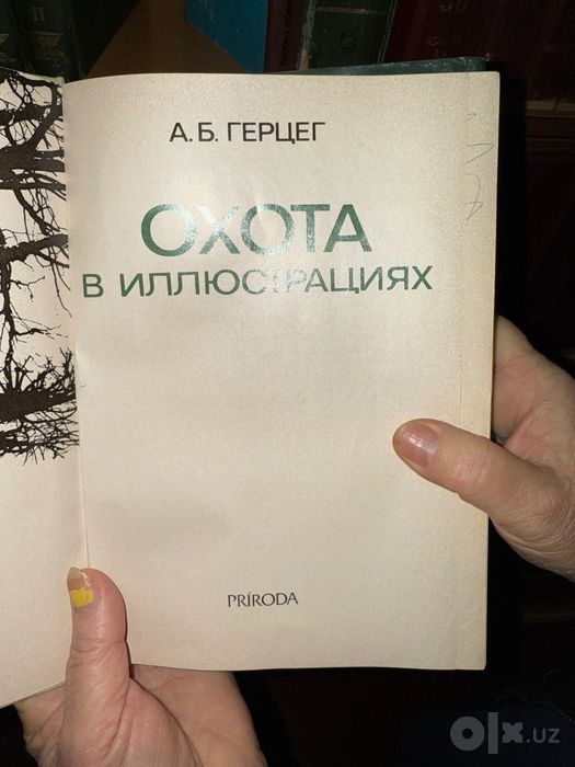 Охота в иллюстрациях 1980г