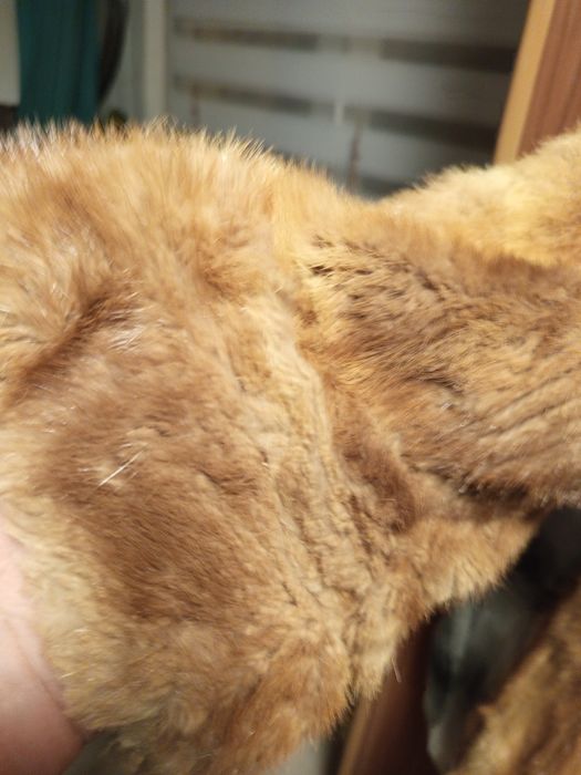 Vând haina blana naturala vizon,nuanță caramel.bust50/2,umeri51,superb