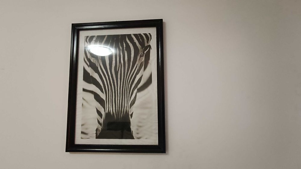 Дава се под наем Двустаен апартамент в Варна, Център - 46 кв.м за 498.27 € - Снимка #8