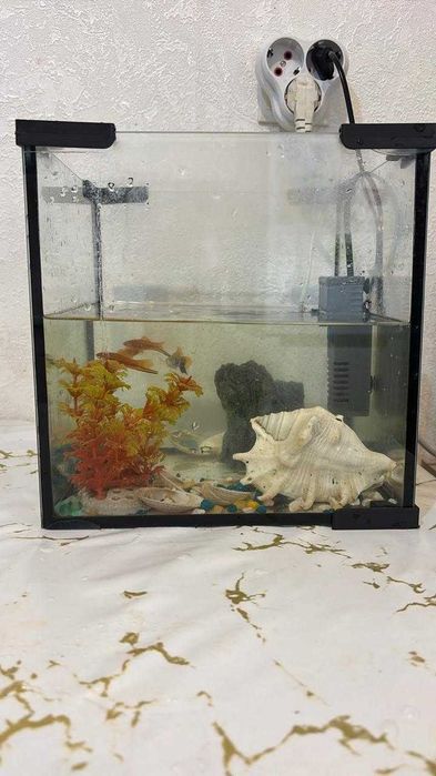 Продам аквариум с рыбками