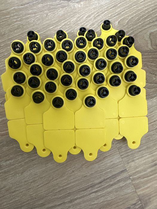 Чип для животных и ушные бирки