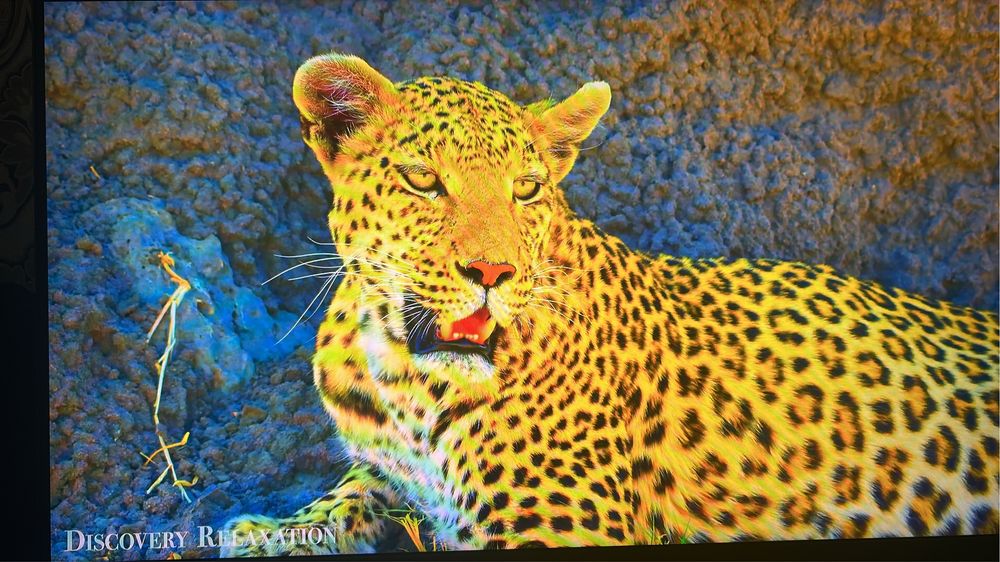 Монитор,клавиатура,мышь и коврик