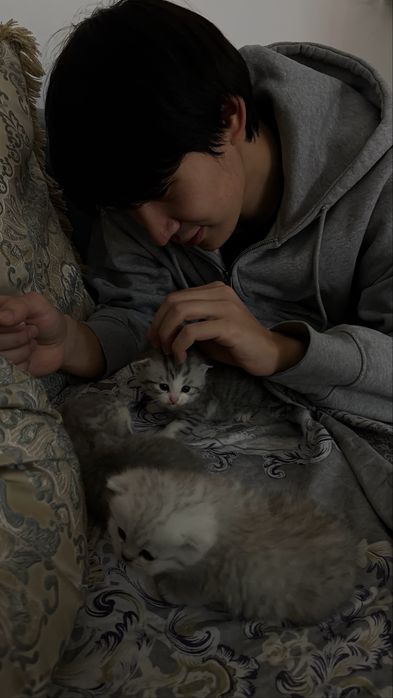 Котята,1месяцев