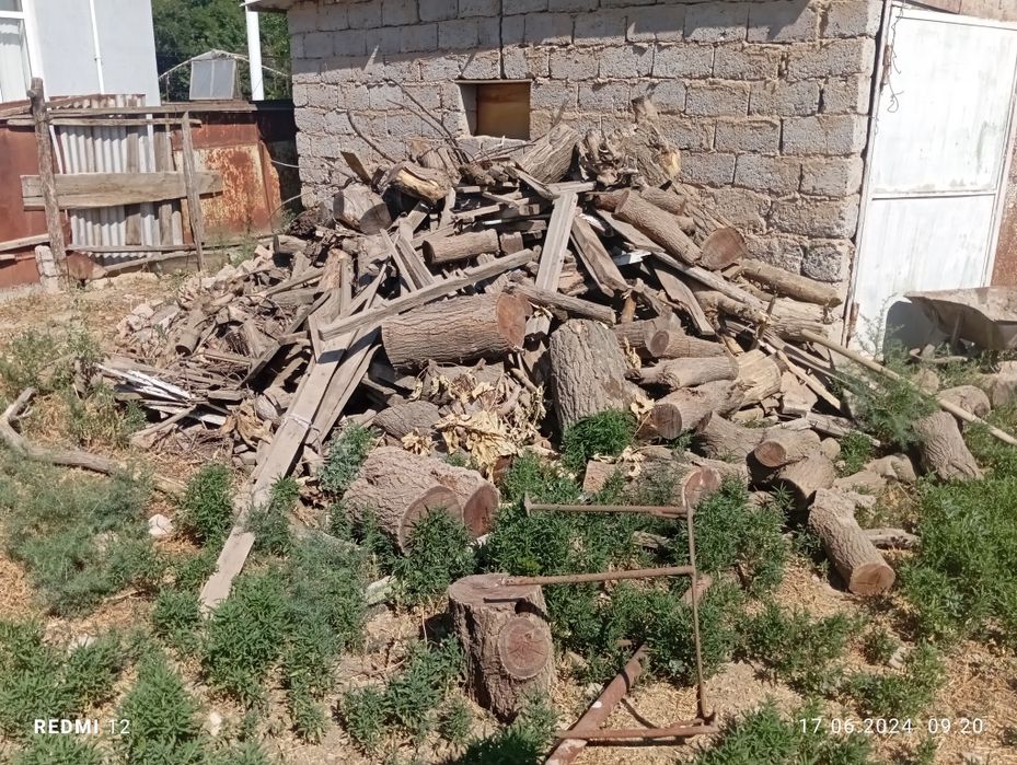 Отын сатамын тағдырға палауга