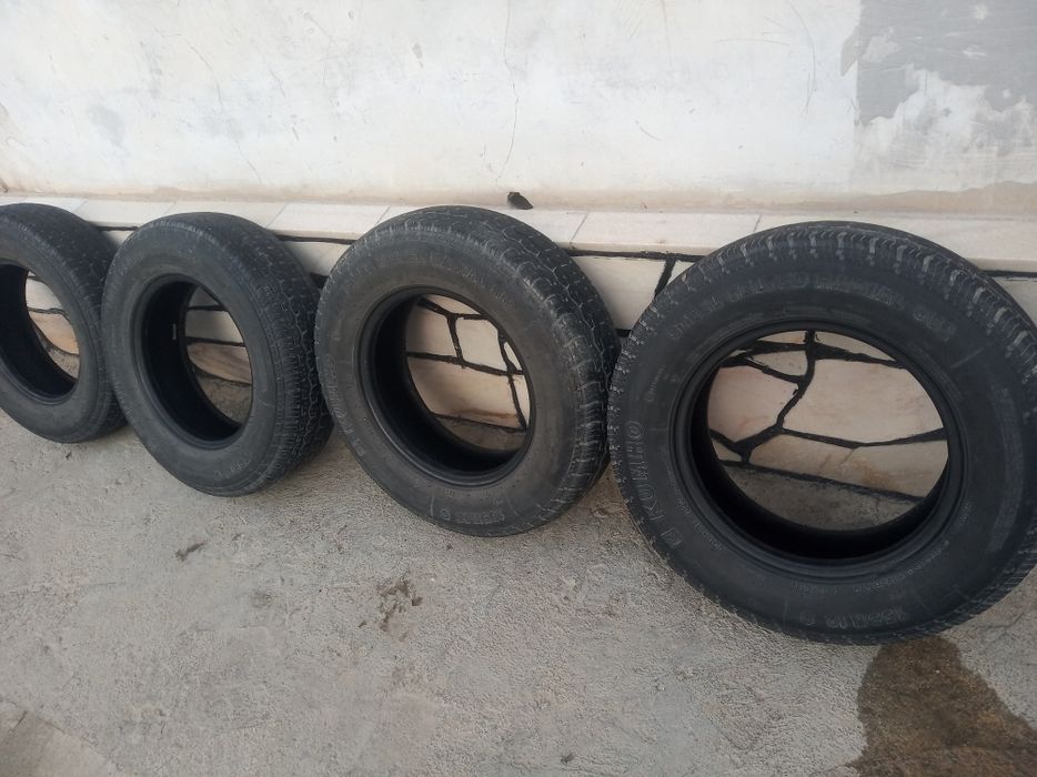 Labo dan yechilgan radnoy narx hammasiga