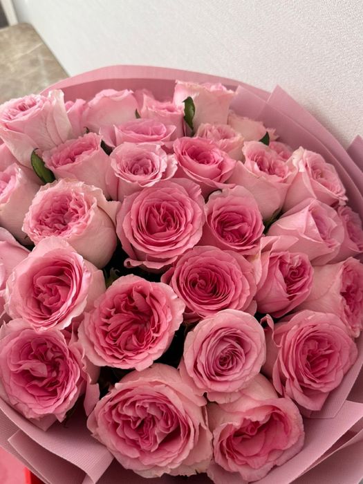 25 роза розовый цвет