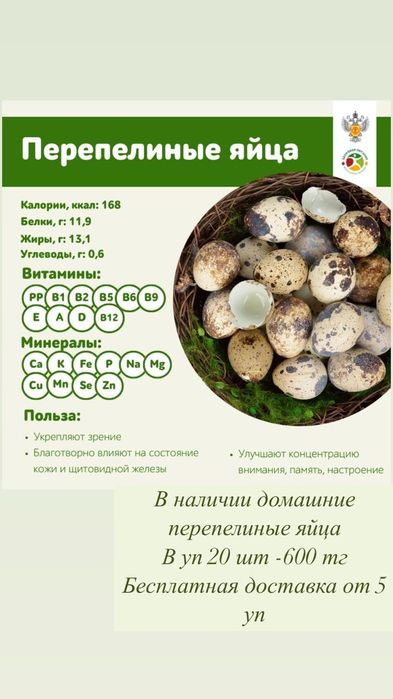 Продам домашнее перепелиные яйца