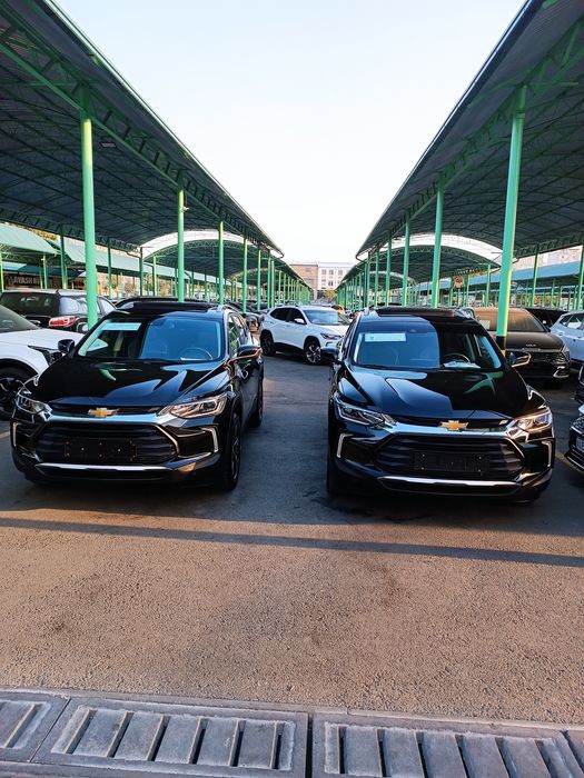 Треккер пример фулл плюс