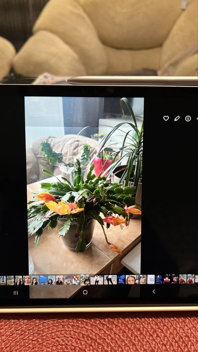 Таблет Samsung Tab S7 FE5G