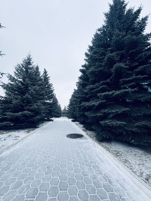 Аренда (субаренда) кабинета, МАЙКУДУК 19 микрорайон.