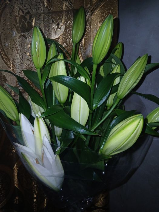 Продам          цветы