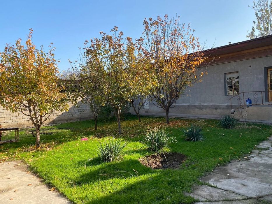 Toshkent tumani qoplonbey tamojniy