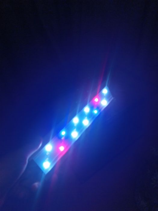 Аквариум для рыб