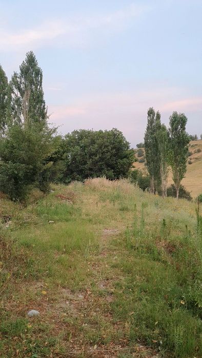 1-гектар жер сатылады Ленгерде