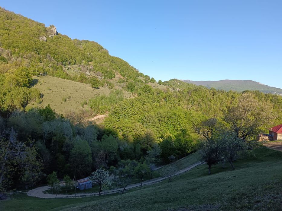 Teren Poiana Lunga,Cornereva