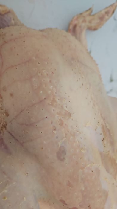 Мясо бройлера домашнего